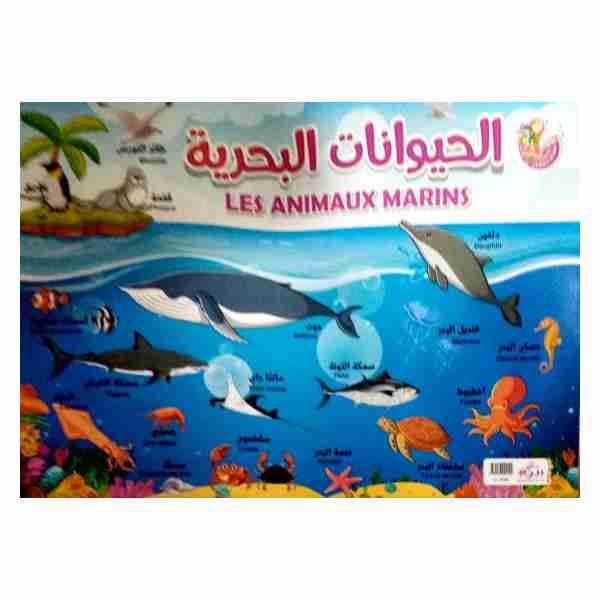 Planche Les animaux marins dar Bayram